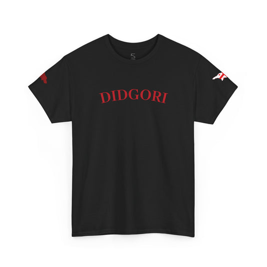 "BATTLE OF DIDGORI"