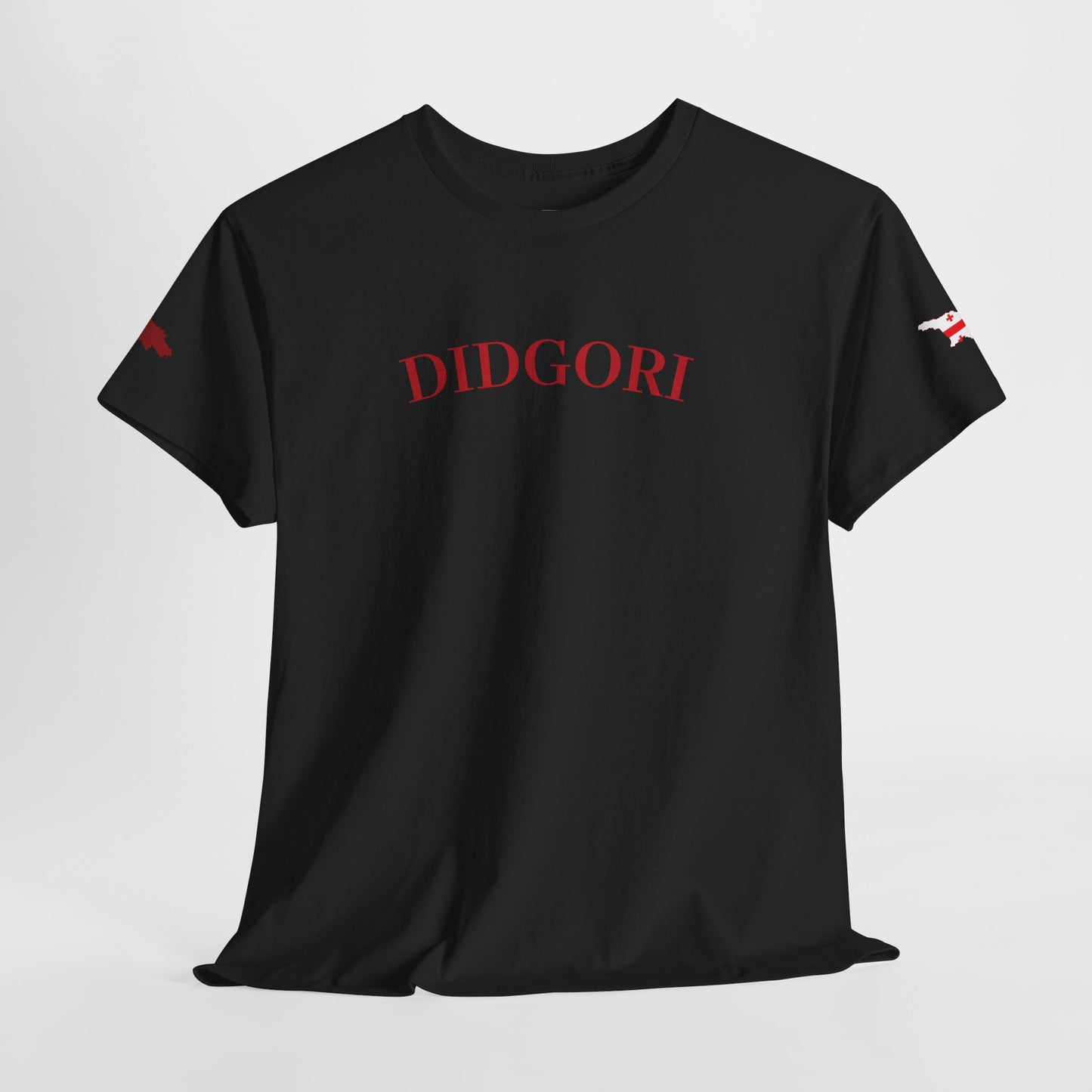 "BATTLE OF DIDGORI"